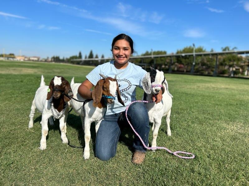 OFI 1985: Discovering Your Agricultural Career At High School | FFA SAE Edition | Nancy Rivas | Sanger High School FFA