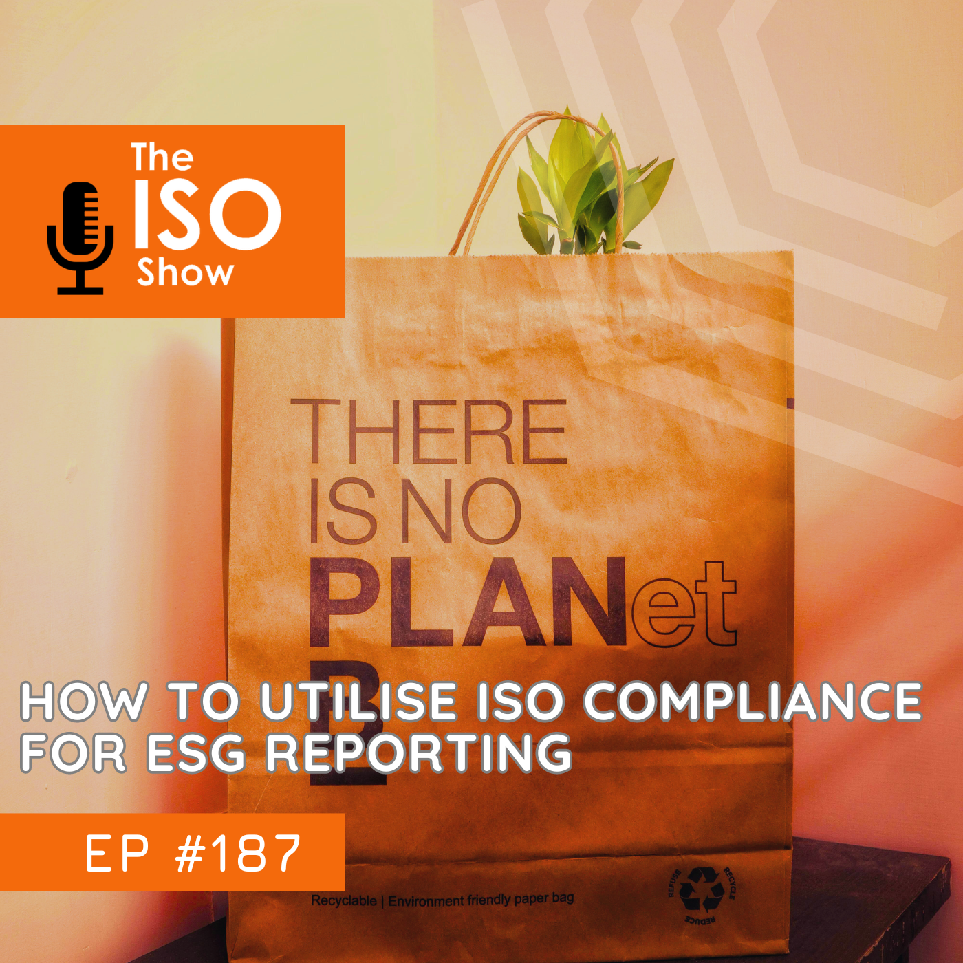 The ISO Show