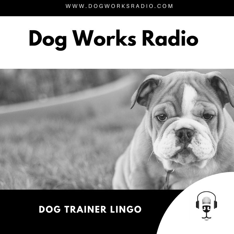 Dog Trainer Lingo
