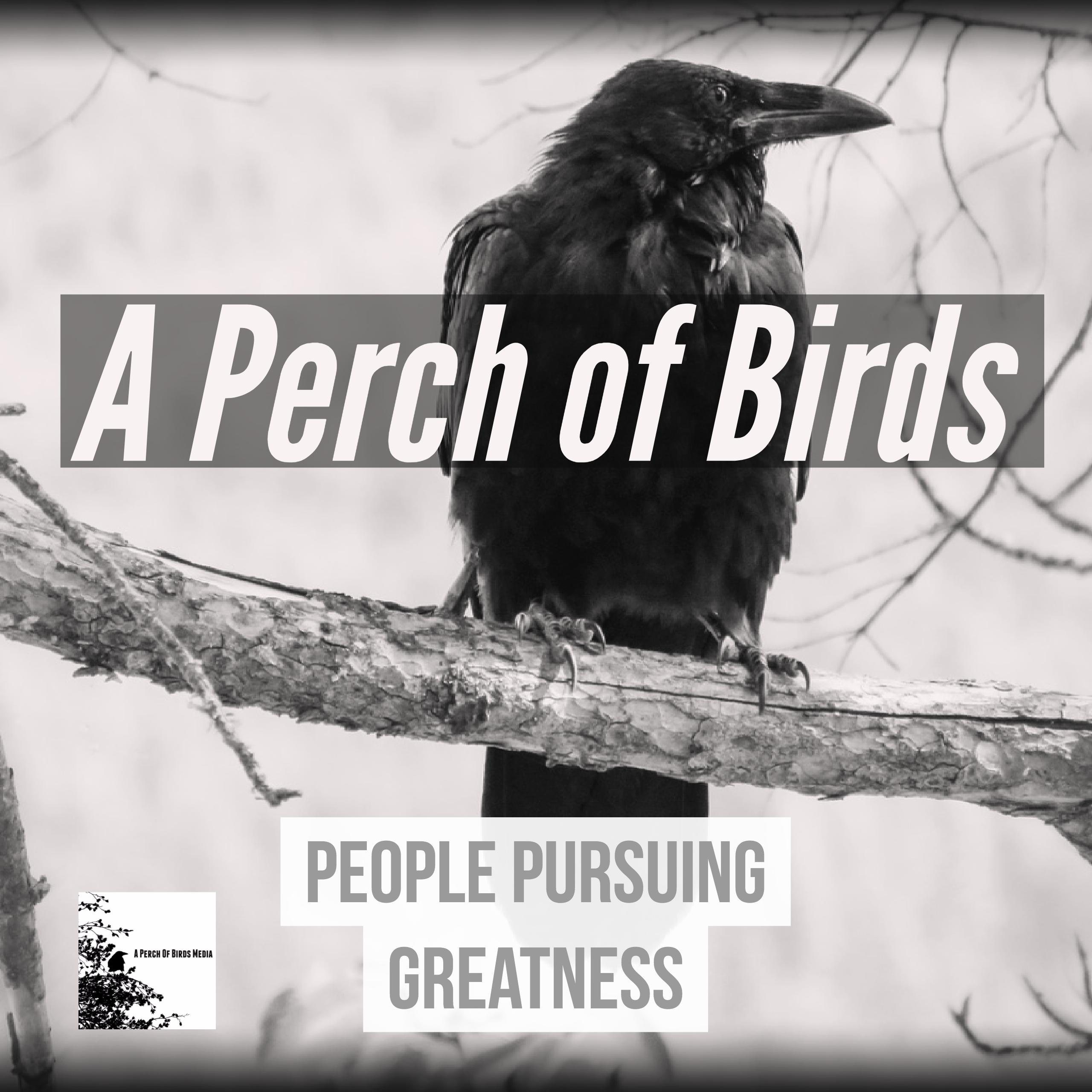 Interviews with People Pursuing Greatness