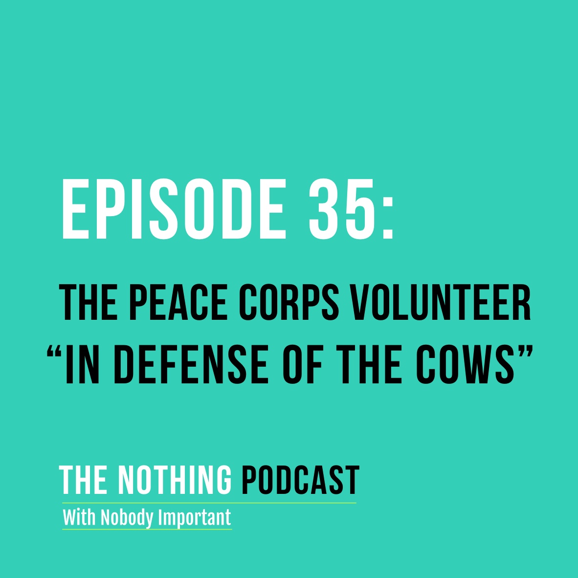 The Peace Corps Volunteer - 