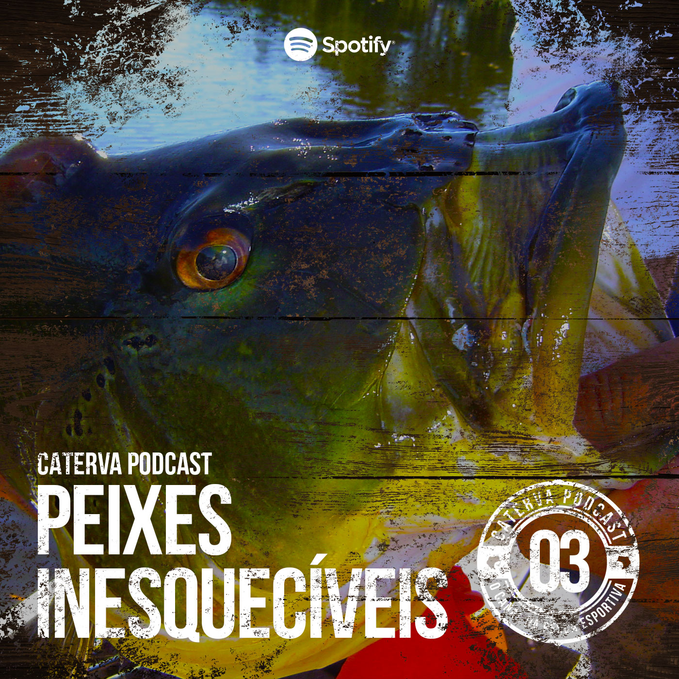 Caterva Podcast