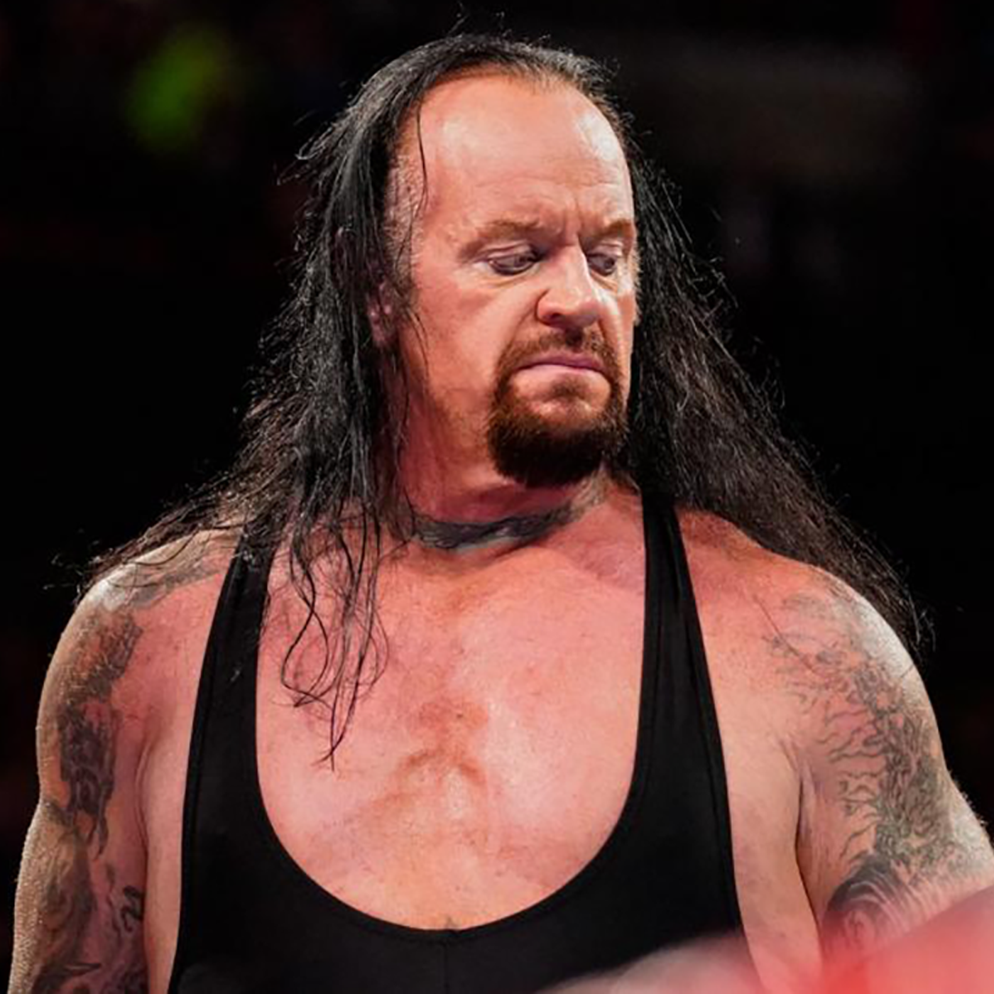 Wrestleview Media
