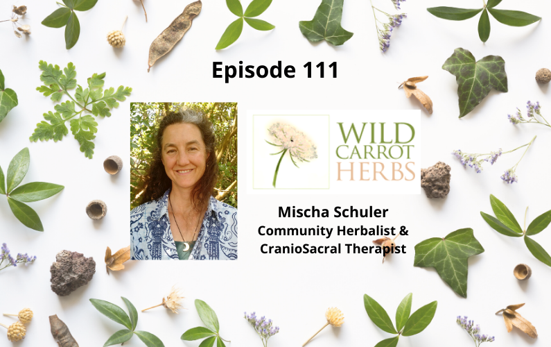 Using Herbs & Plants as Medicine - Mischa Schuler - Episode 111
