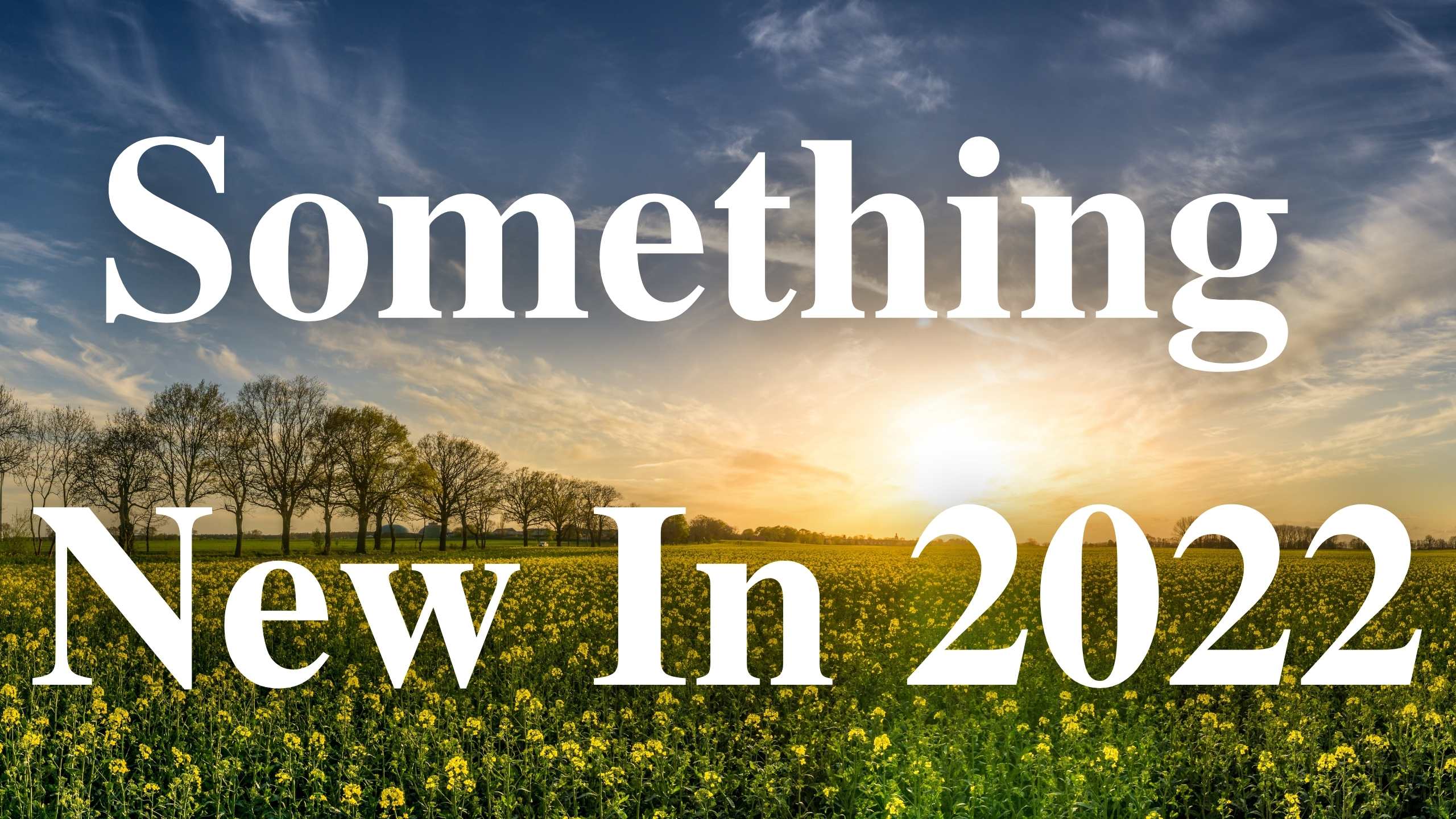 Something New In 2022