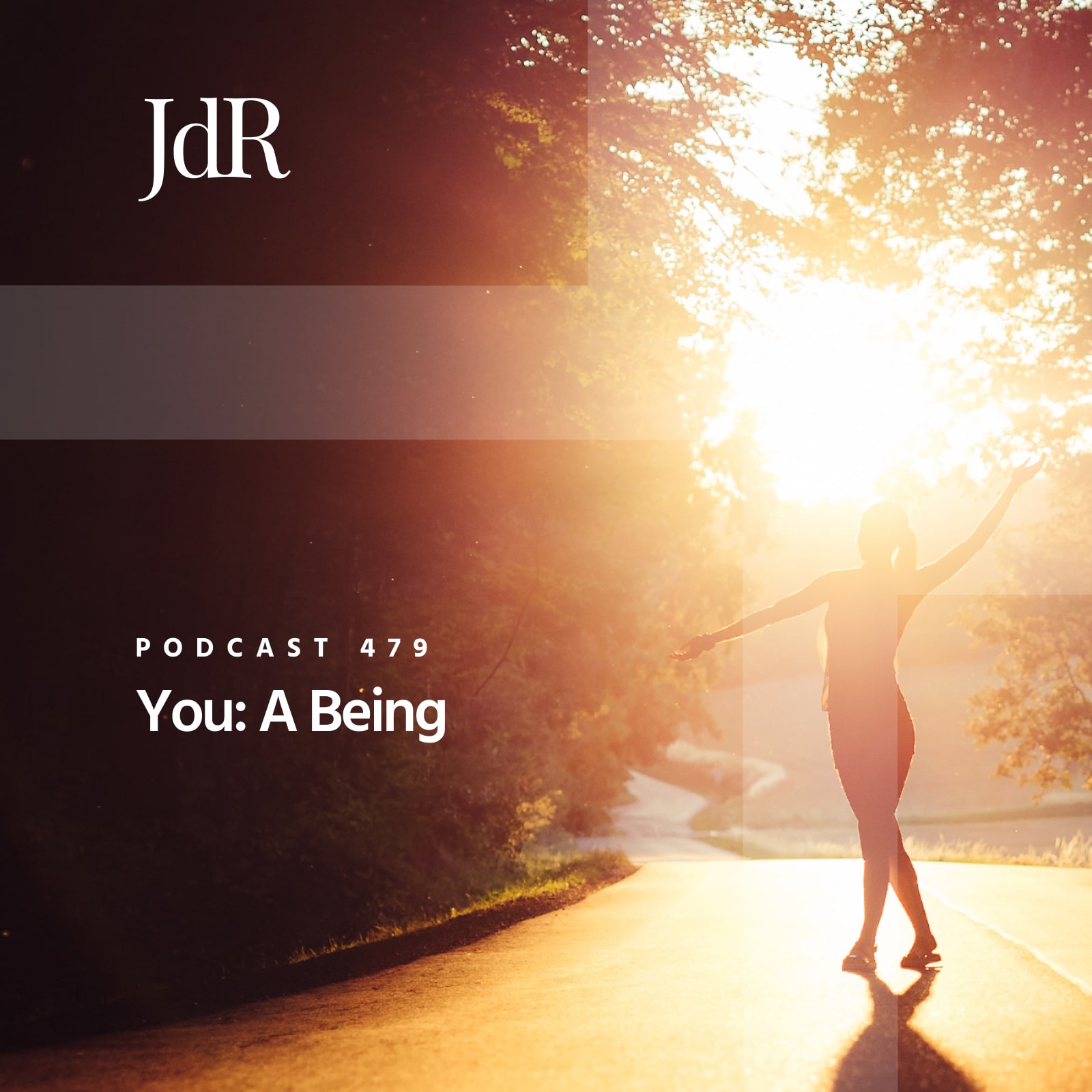 JdR Podcast 479 - You: A Being