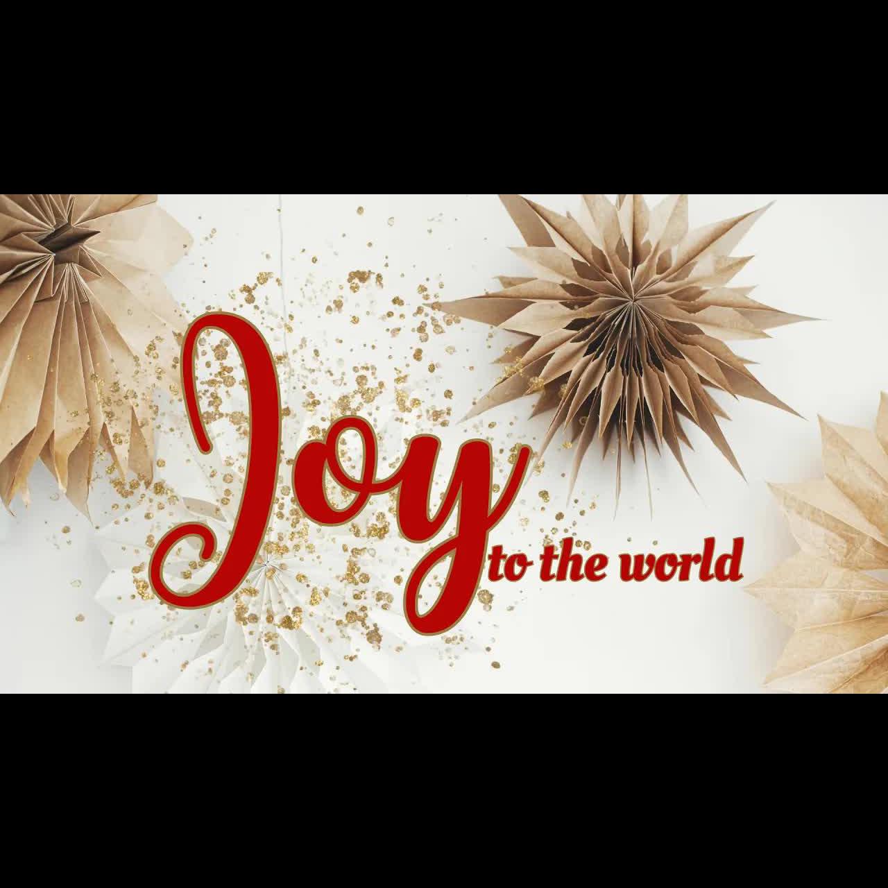 Joy in the Manger