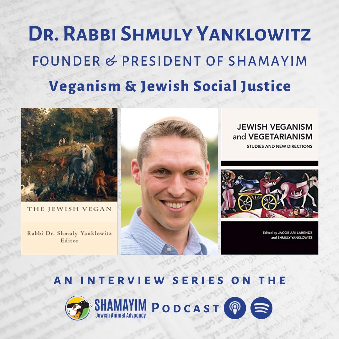 Shamayim: Jewish Animal Advocacy