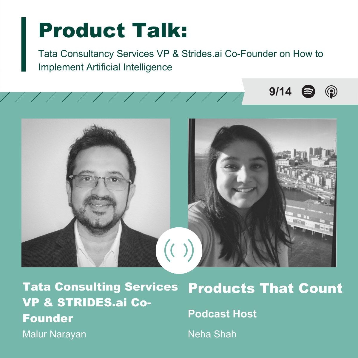 EP 248 - Tata Consultancy Services VP & Strides.ai Co-Founder on How to Implement Artificial Intelligence