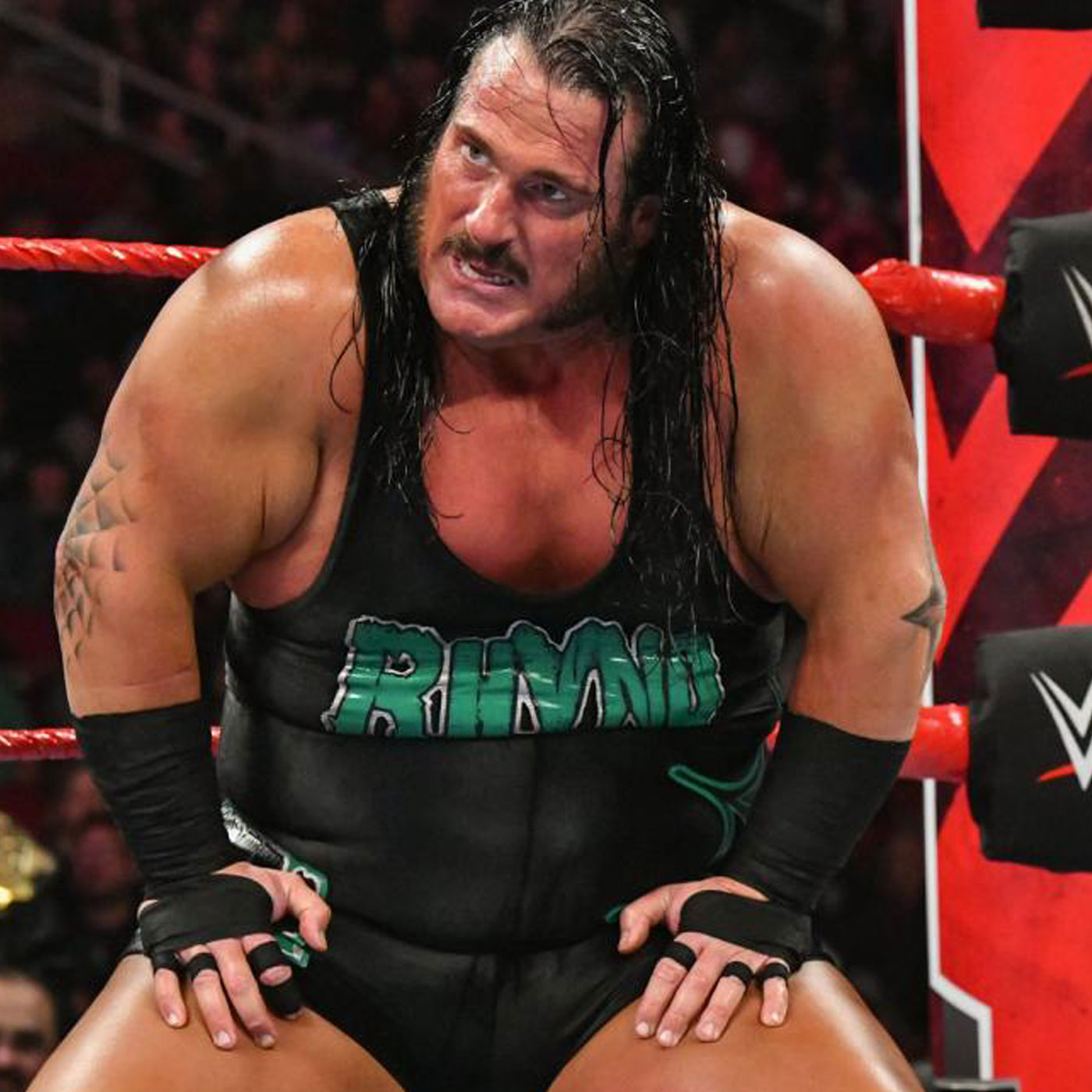 Wrestleview Media