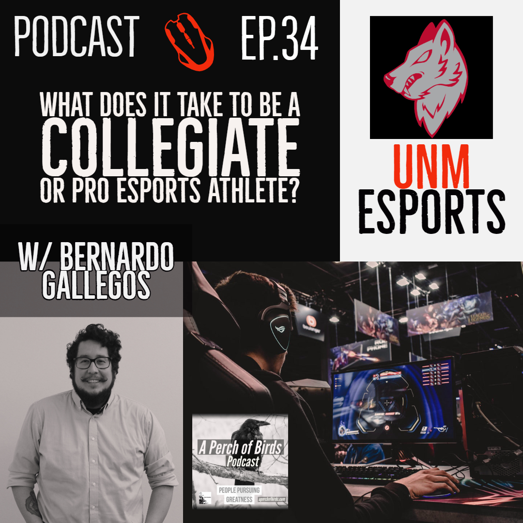 Interviews with People Pursuing Greatness