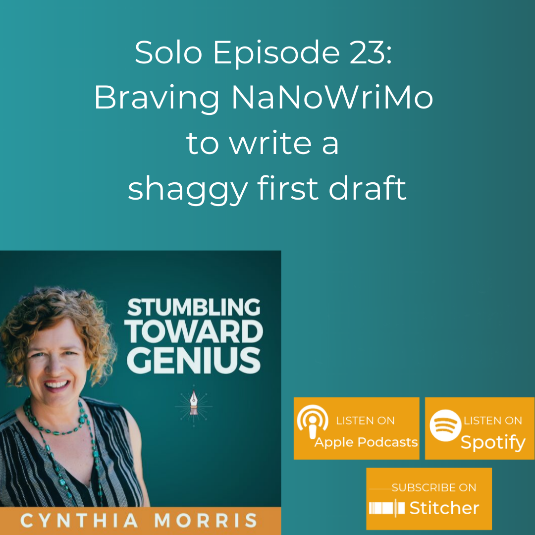 Braving NaNoWriMo to write a shaggy first draft