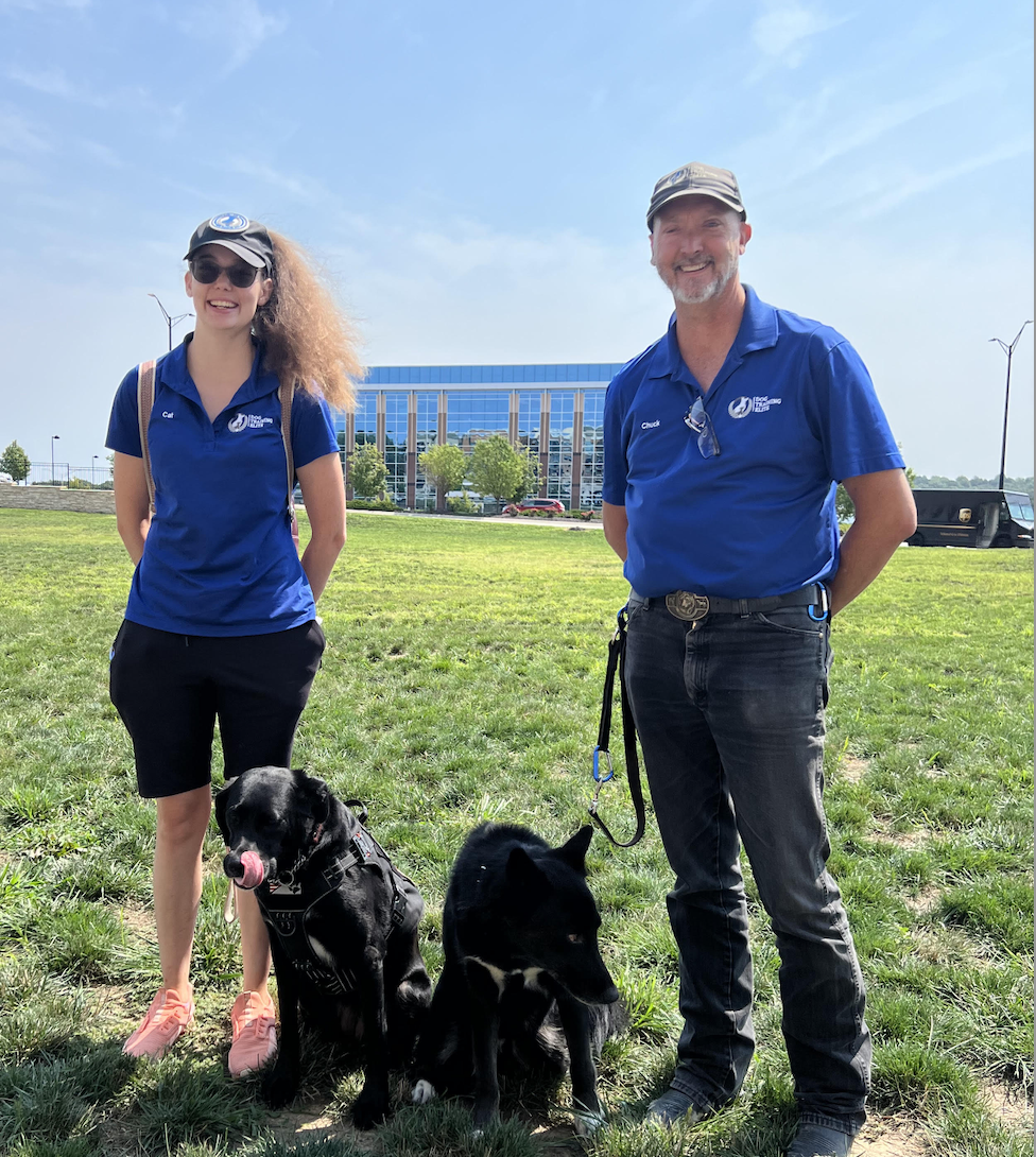 You Just Have To Laugh