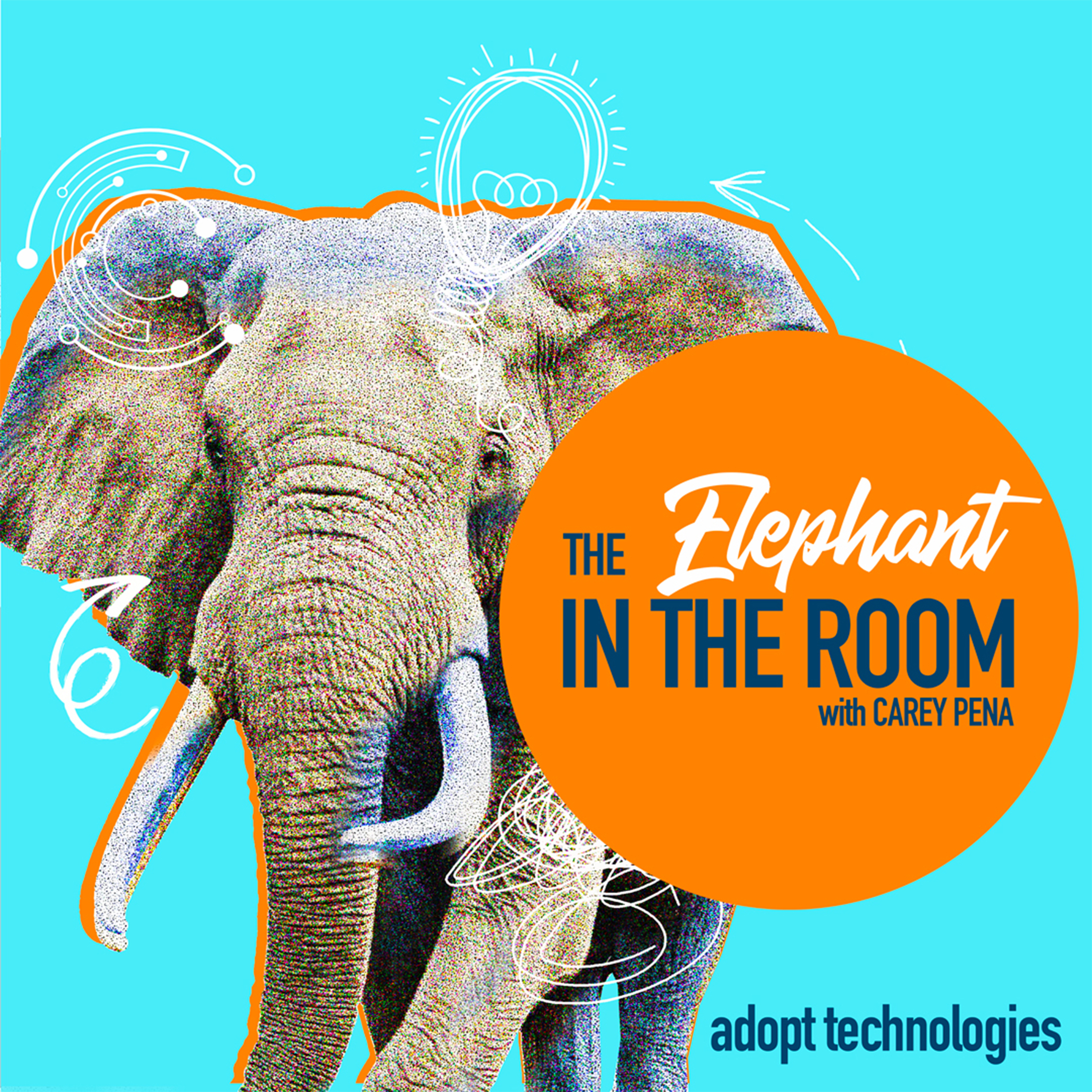 The Elephant in the Room