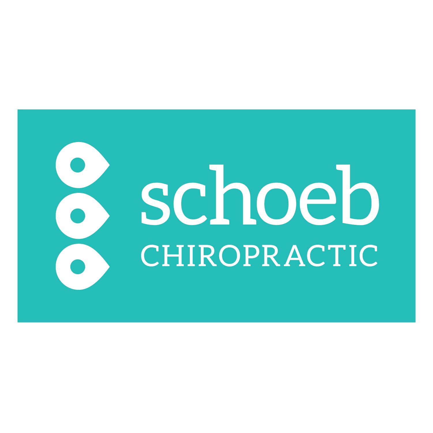 Ep 061 - Ryan & Molly Schoeb, Owners of Schoeb Chiropractic