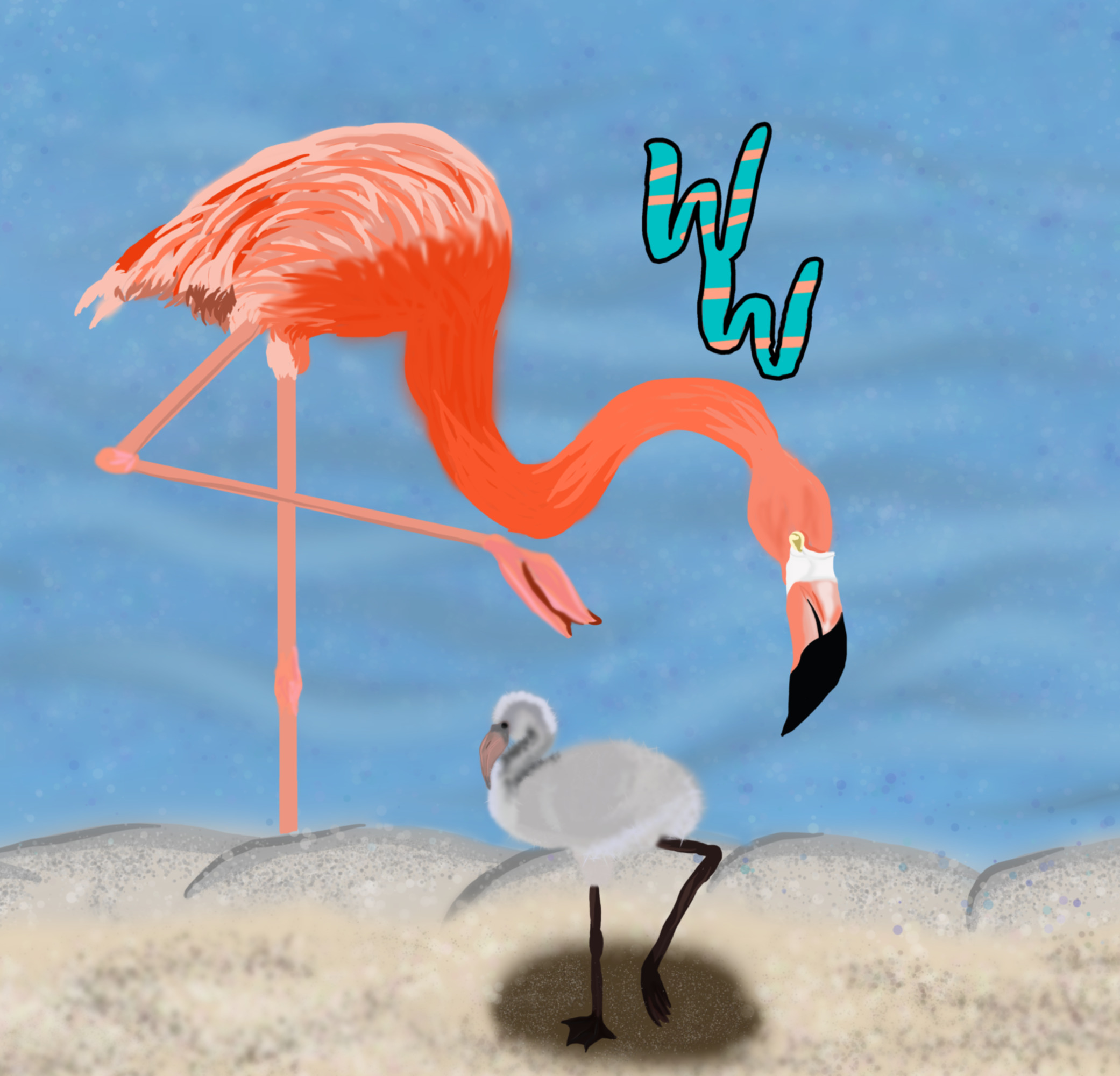 American Flamingos