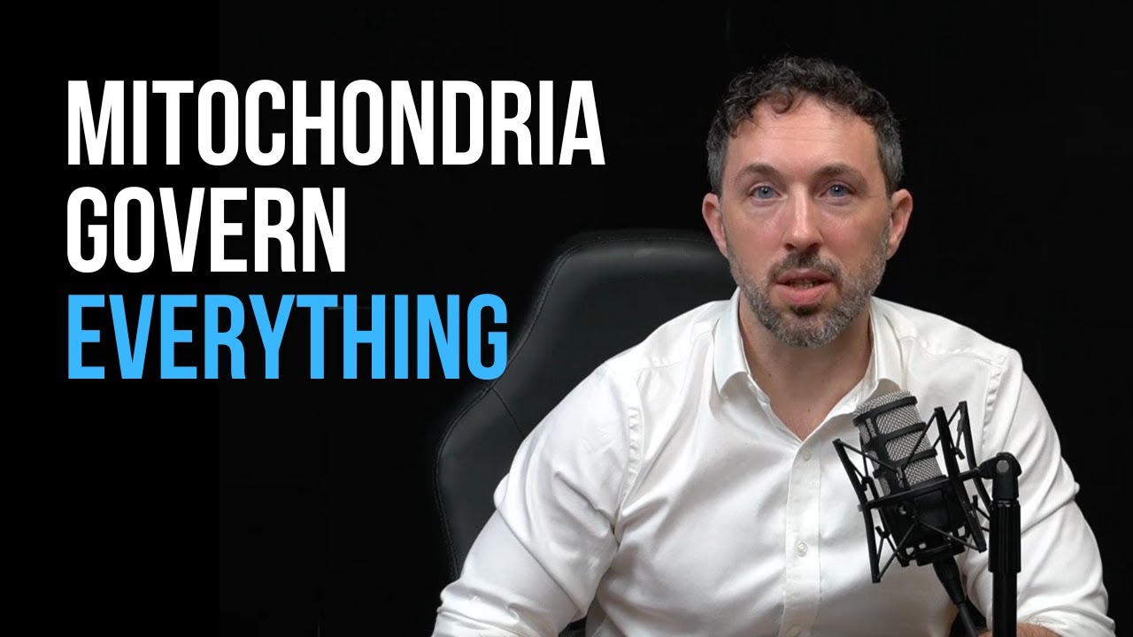 Mitochondria: Why They Control Everything in Human Health Mitochondria: Why They Control Everything in Human Health