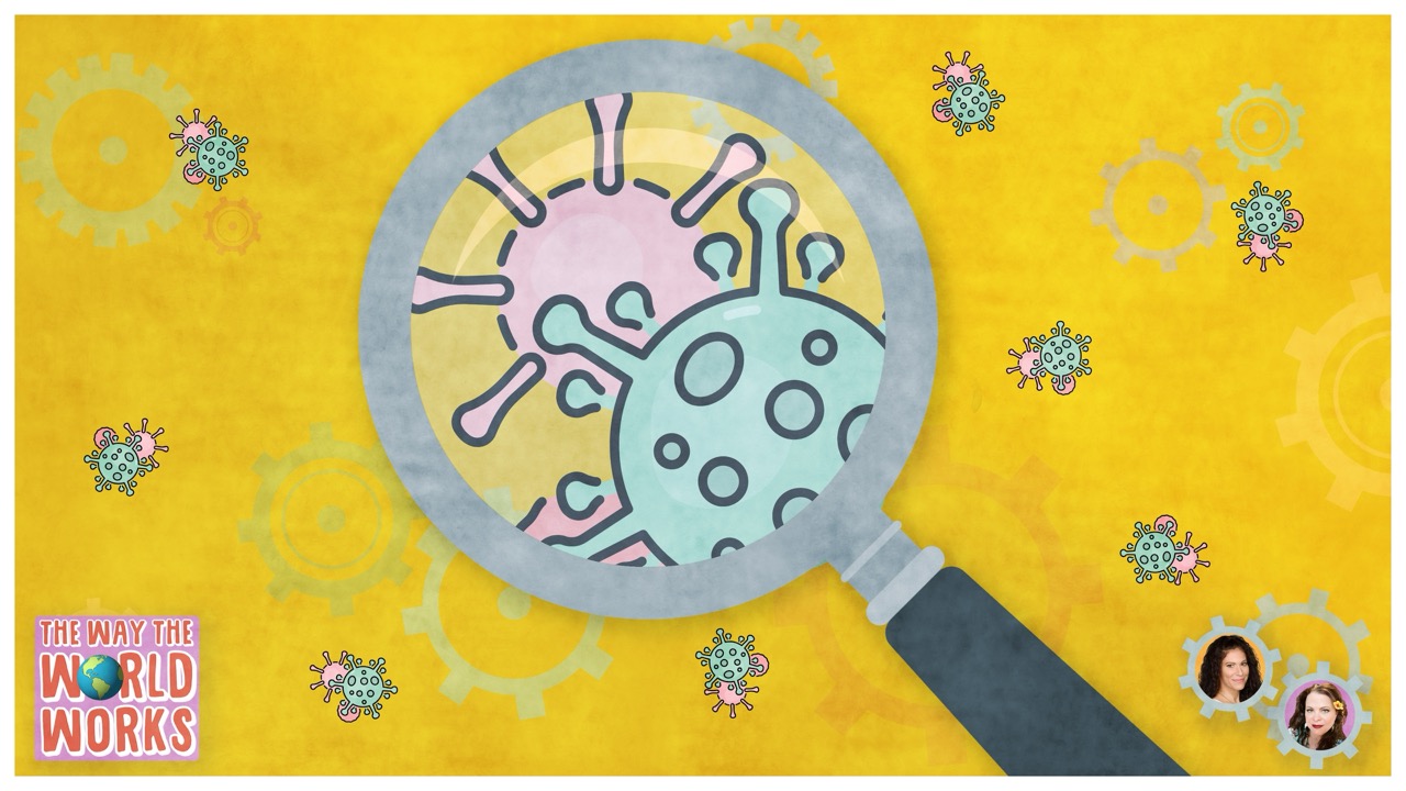 641. What Have We Learned From COVID?