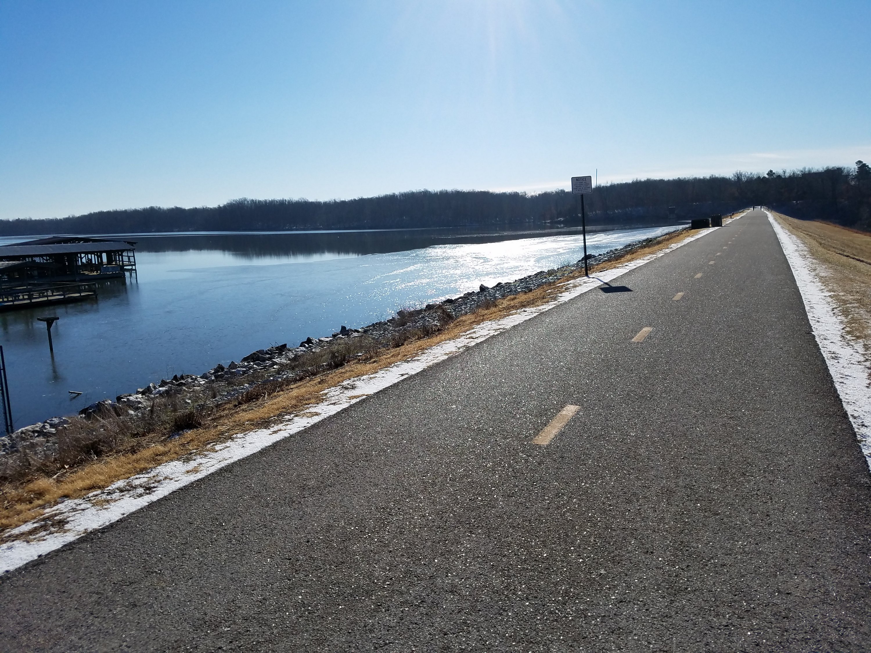 Running: A FEVER