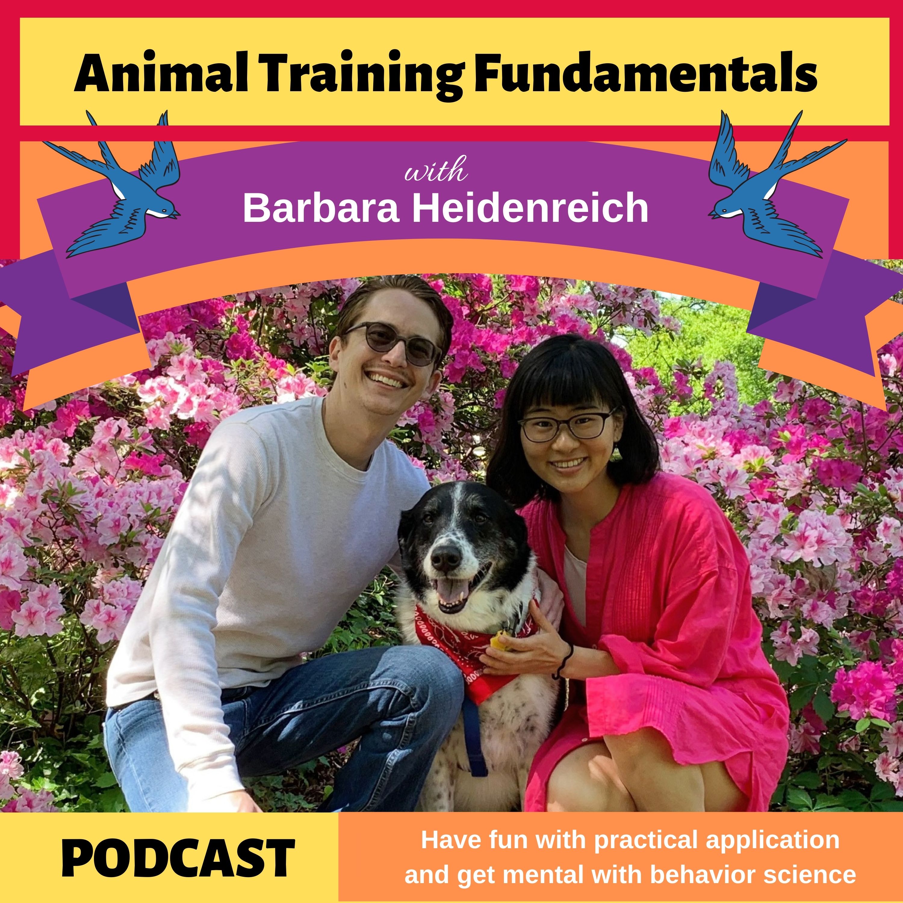 Animal Training Fundamentals with Barbara Heidenreich