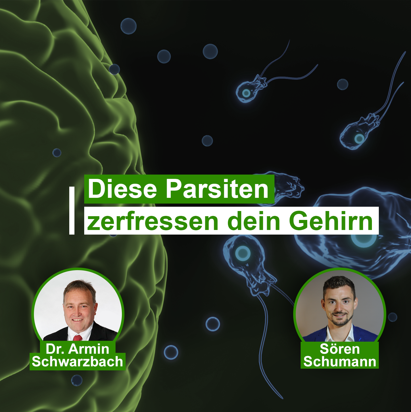 Gesundheit Ganzheitlich