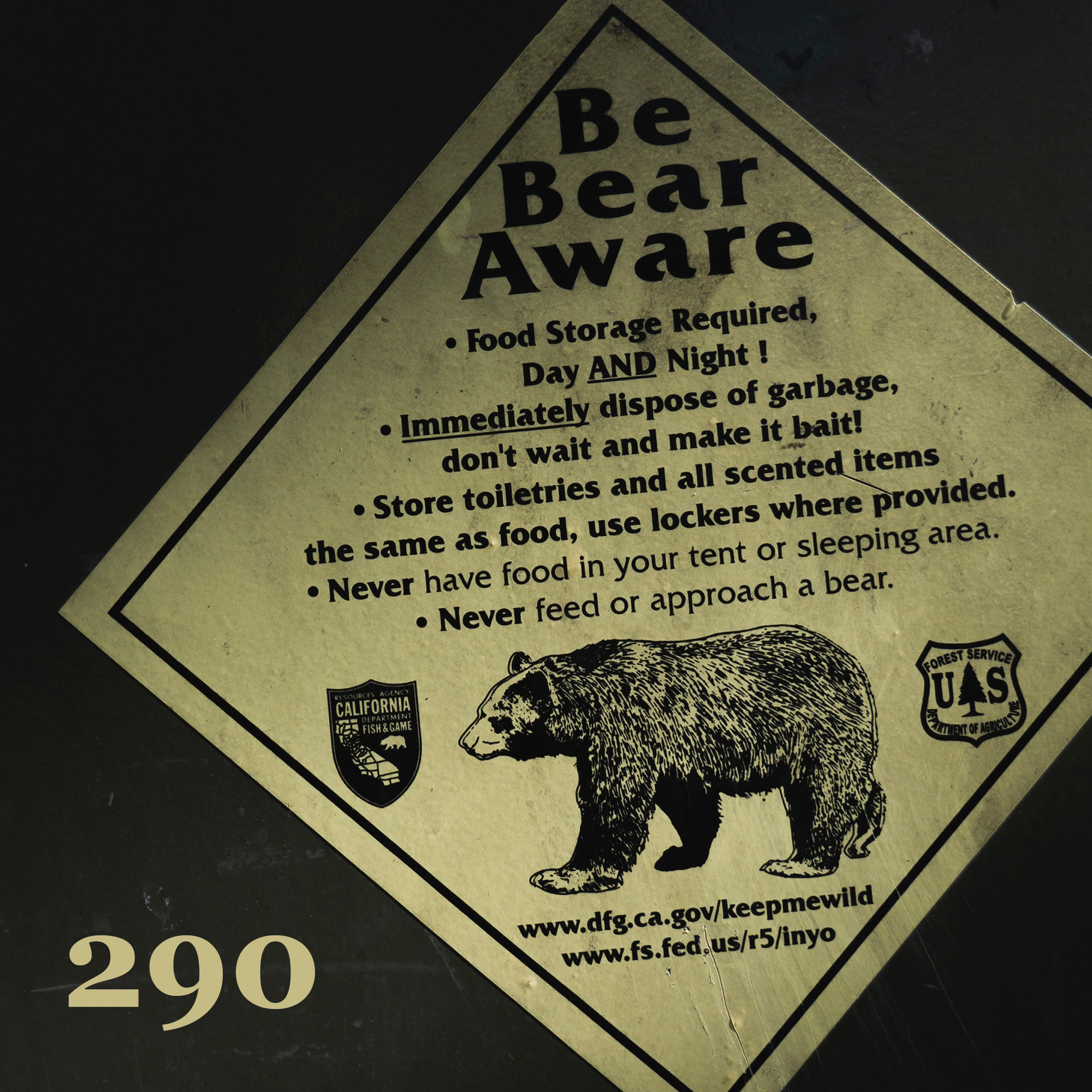 #290: Treed by a Bear