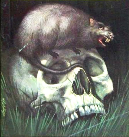cover of episode HYPNOBOBS 08 – The Graveyard Rats