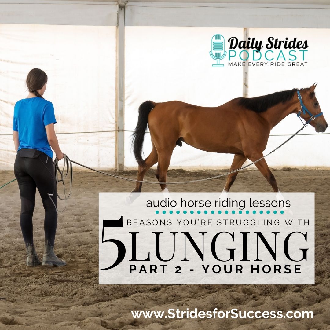 5 Reasons You're Struggling with Lunging - Part 2 Your Horse