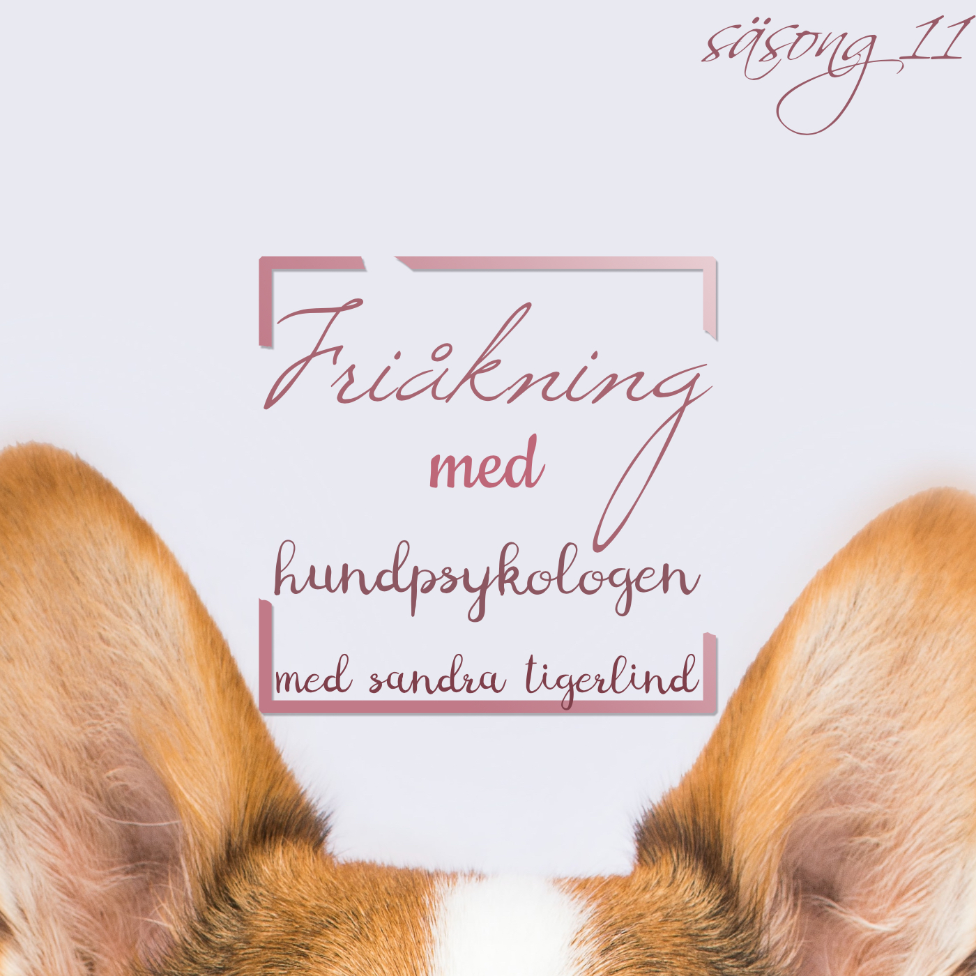 Hundpodden Vår Bästa Vän
