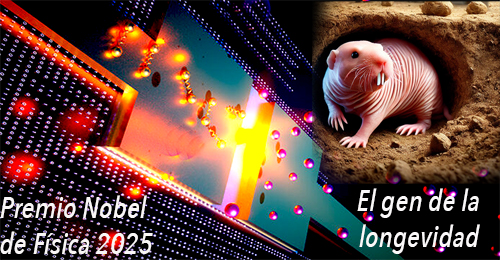 Mundos cuánticos y vidas largas.