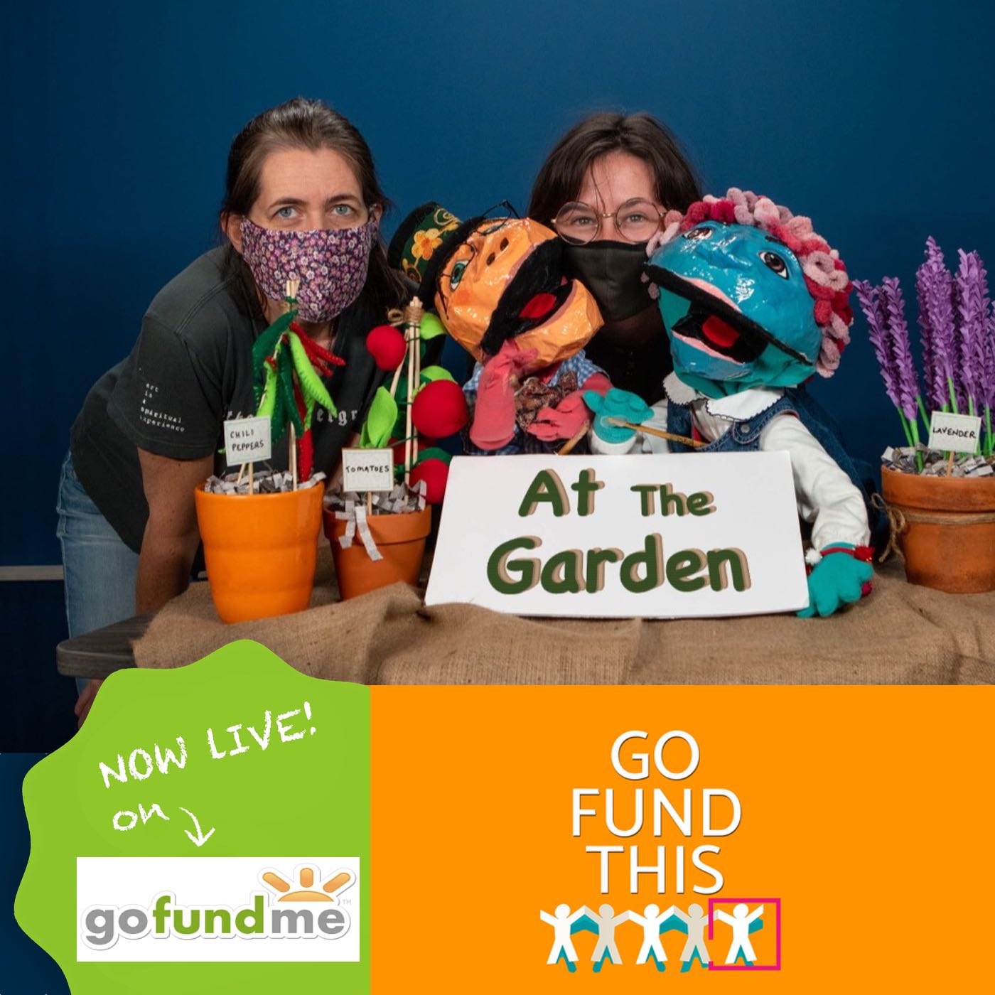 Go Fund This!