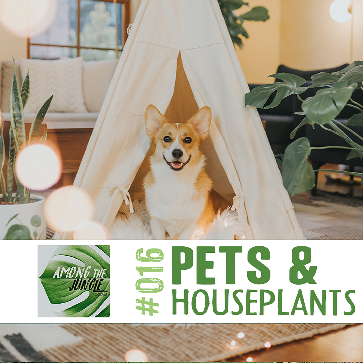 Pets & Houseplants: Plant Toxicity in Cats and Dogs