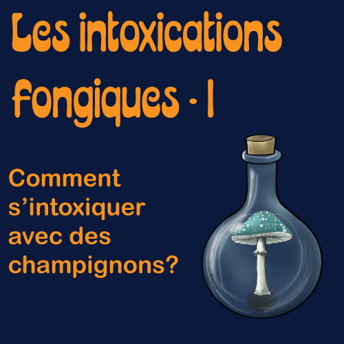 Les intoxications fongiques: introduction Les intoxications fongiques: introduction