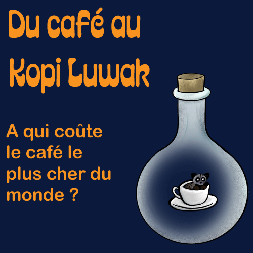 Du café au kopi luwak Du café au kopi luwak