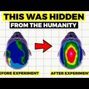 The CIA hid this from humanity for 67 years... The CIA hid this from humanity for 67 years...