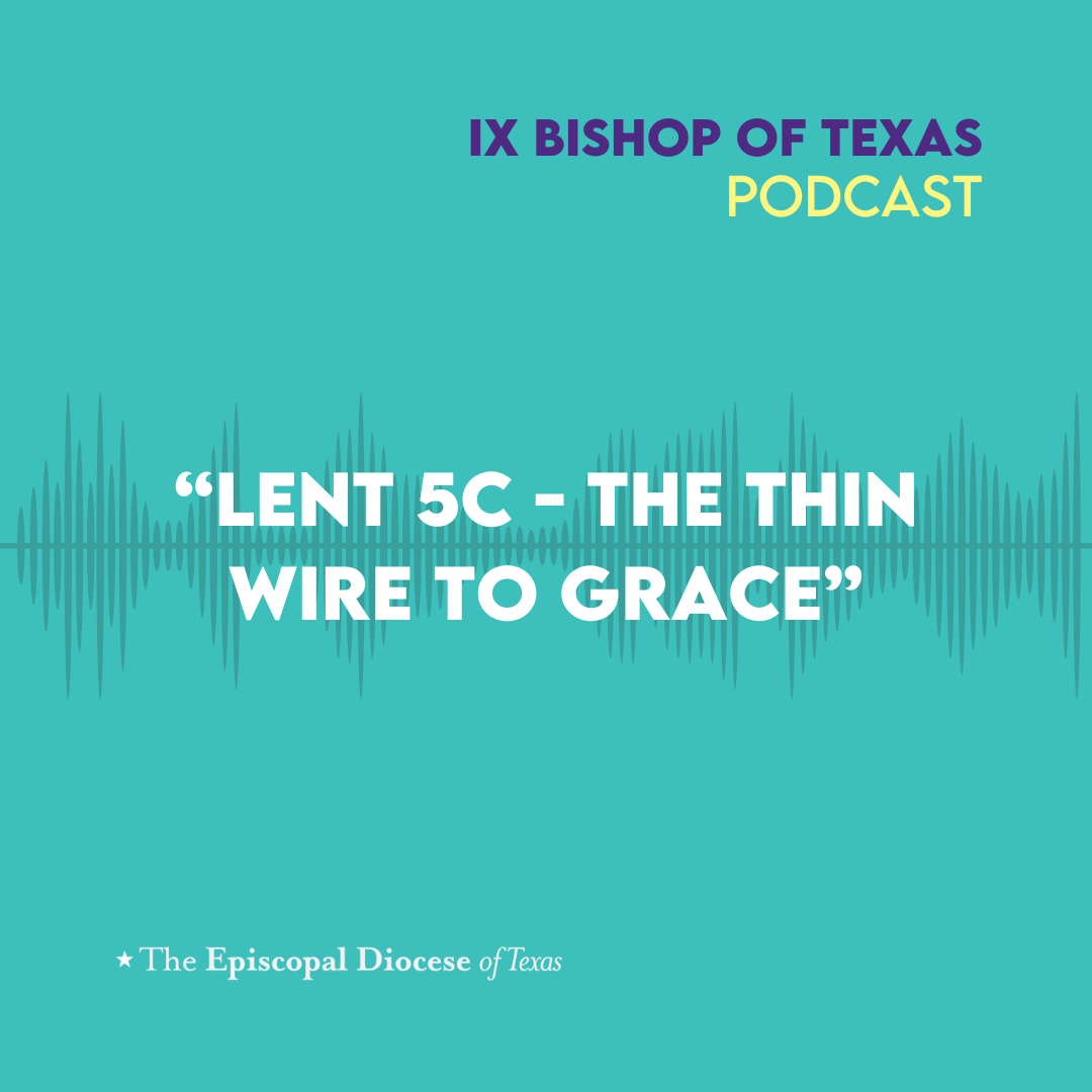 Ninth Bishop of Texas