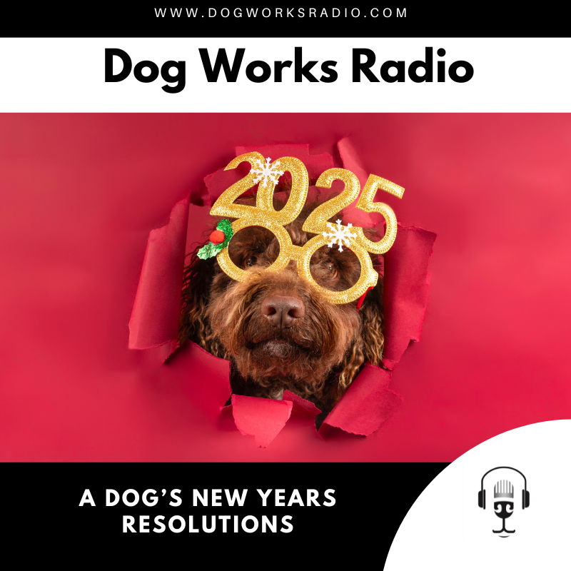 A Dog's New Year's Resolutions