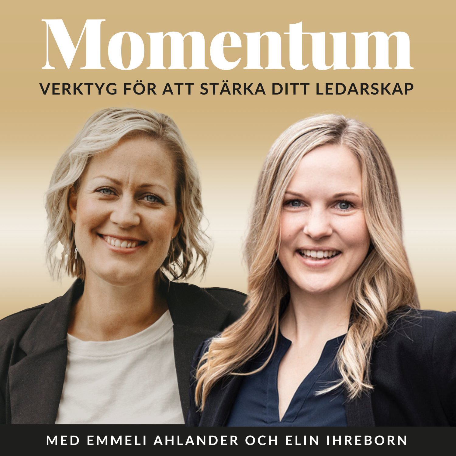 MOMENTUM – vision till verklighet, ledarskap och frihetsföretagande