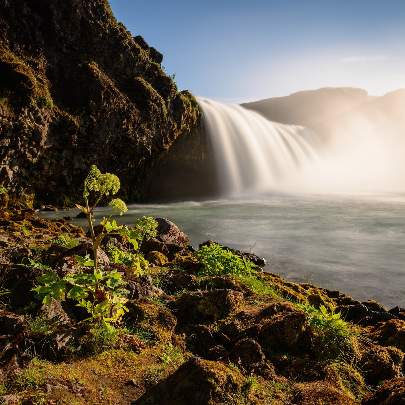 Neki nalog  da li je libsyn