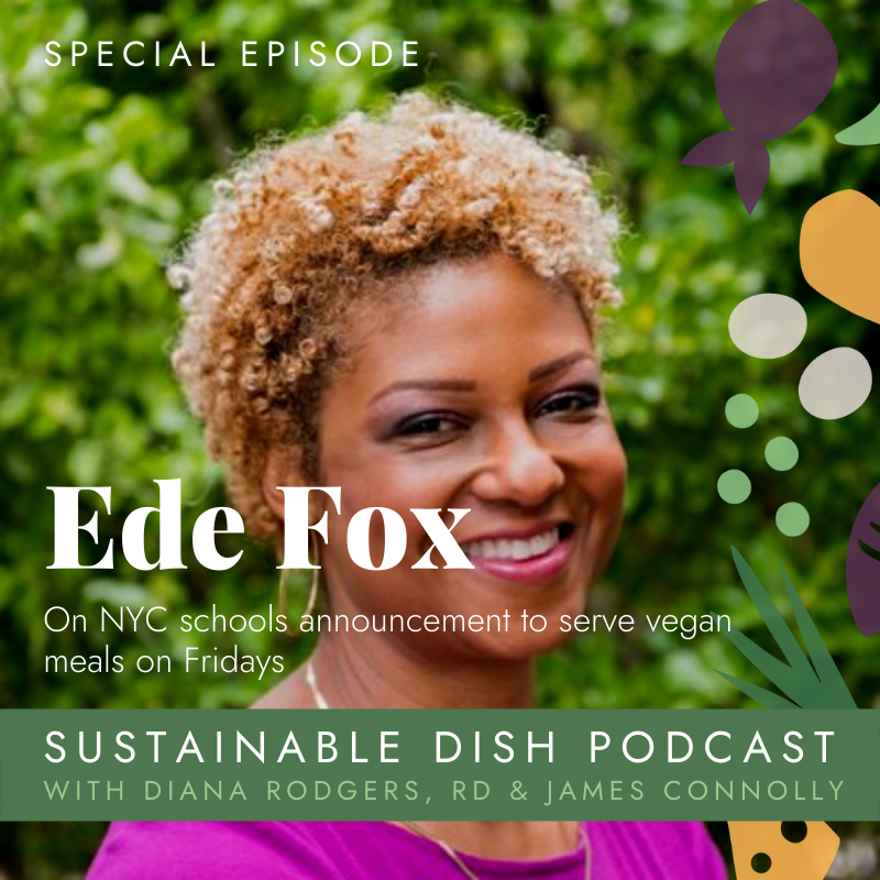 cover of episode Special Episode: Ede Fox, The Black Carnivore on NYC schools announcement