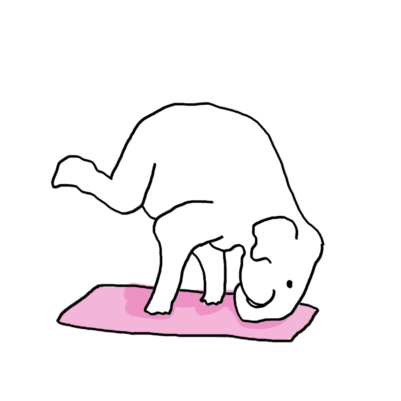 Rikke Andreassen: A History of the Other