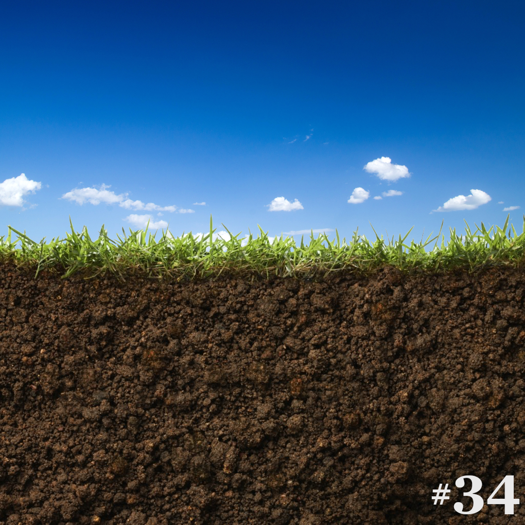 #34 - An Undertaking