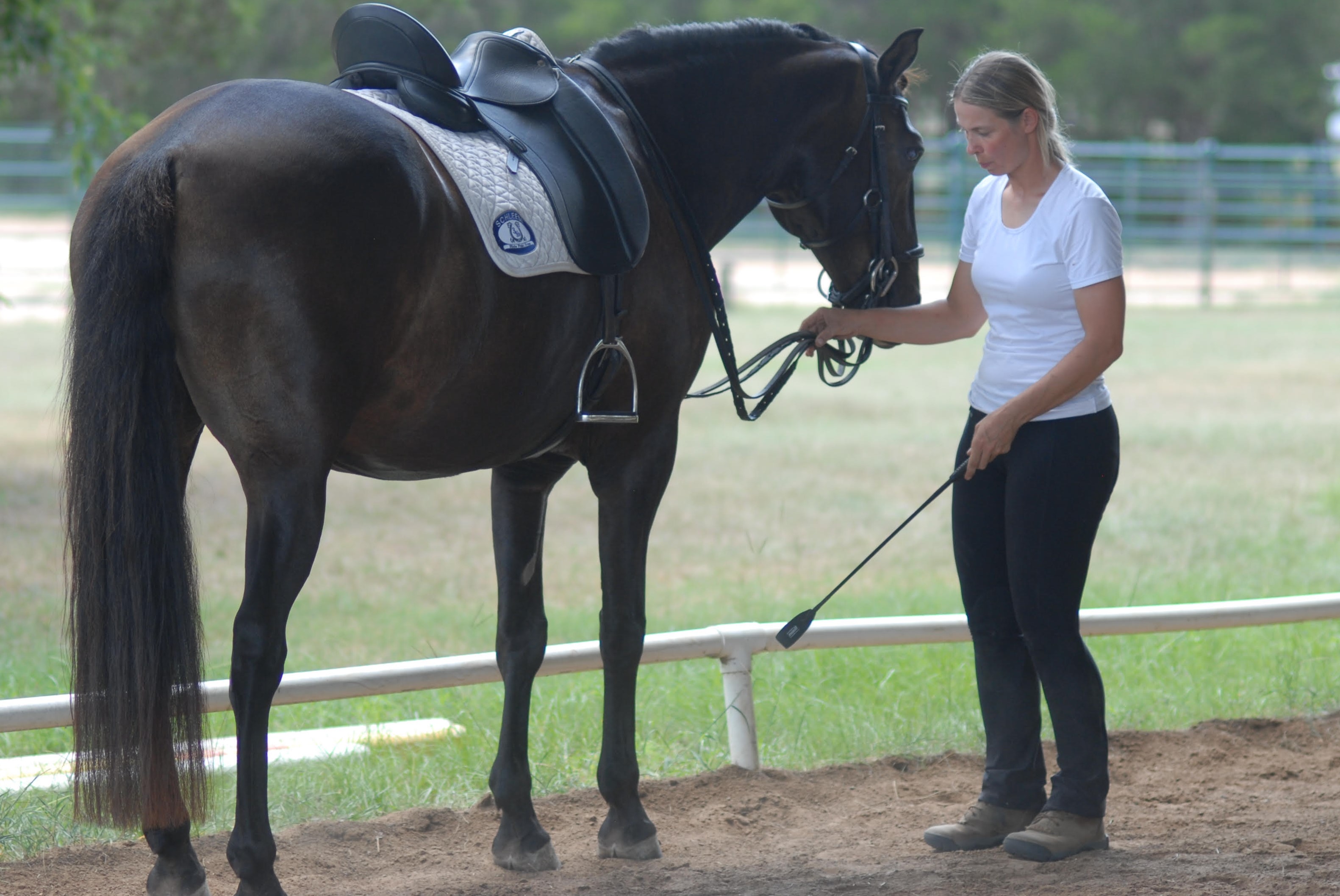 0795: Jillian Kreinbring - Jillian Kreinbring And The Significance Of Functional Anatomy When Training Horses