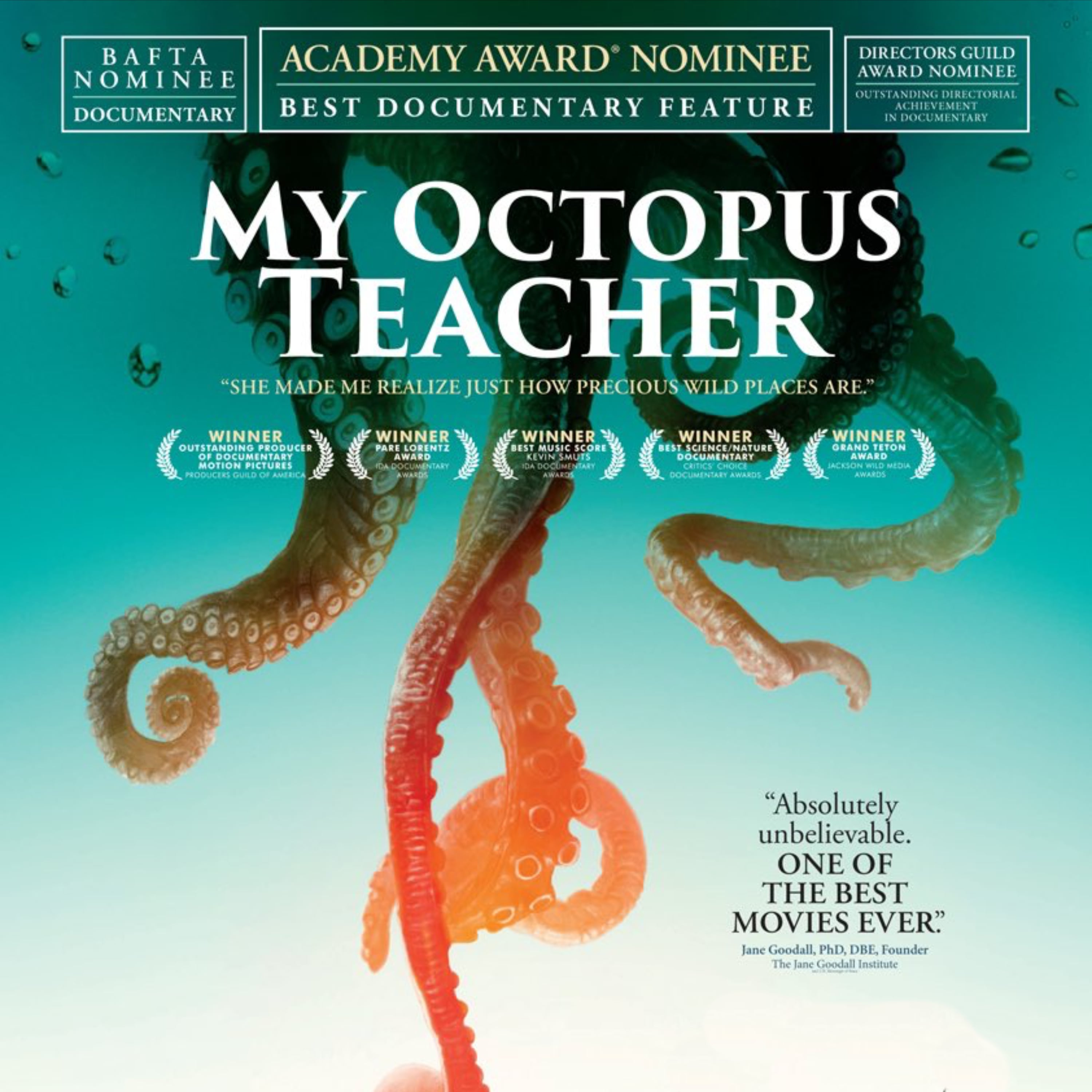 Roger Horrocks - My Octopus Teacher, Cinematographer