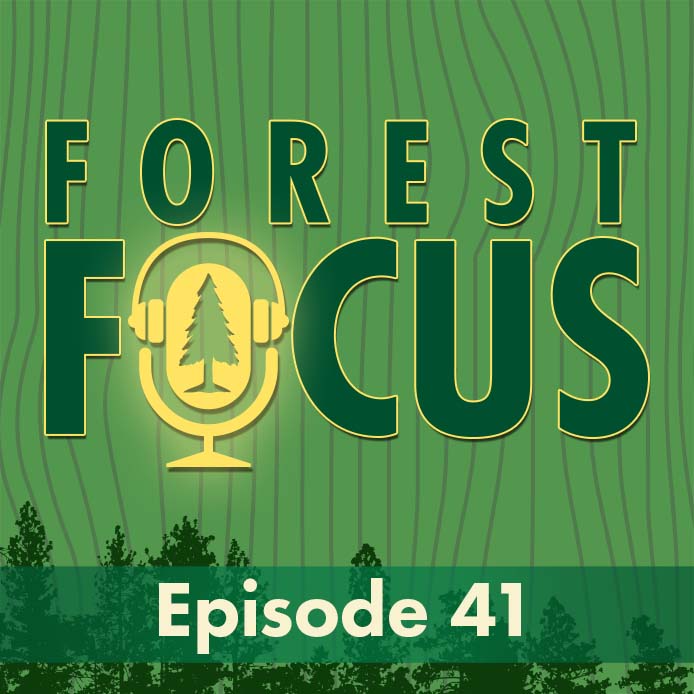cover of episode Episode 41: Tree Mortality from a Bird's-Eye View