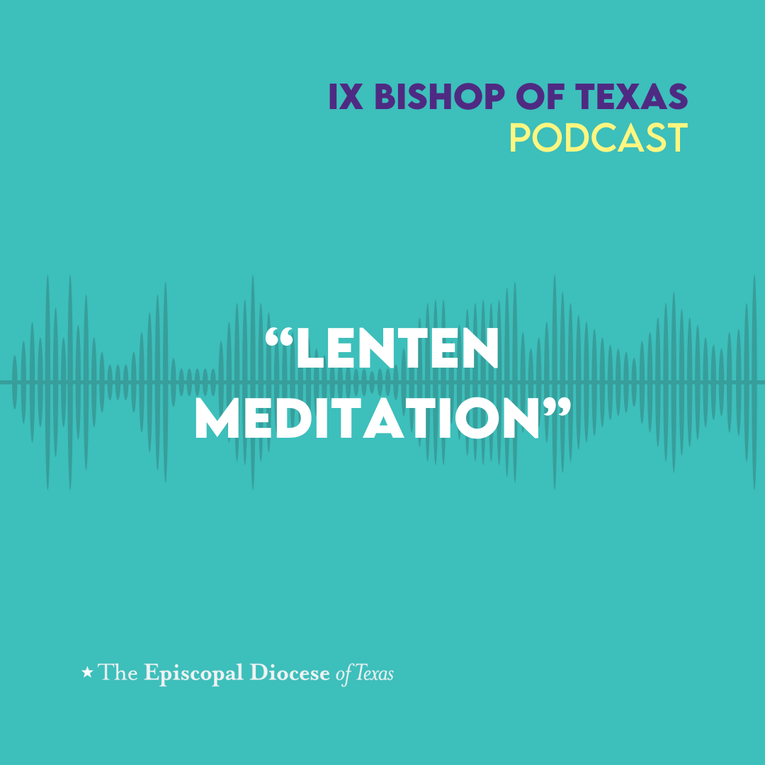 Ninth Bishop of Texas