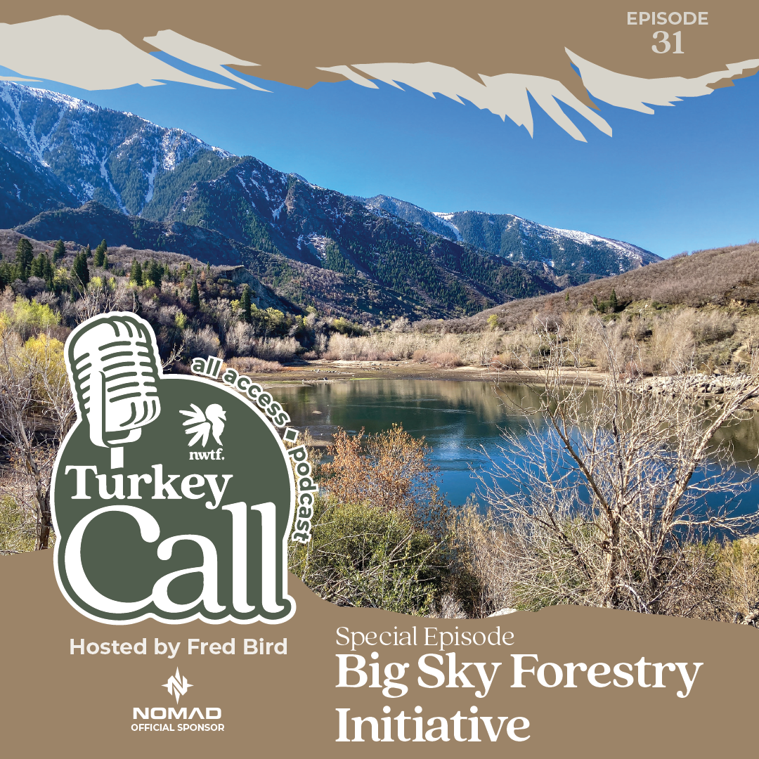 Turkey Call All Access