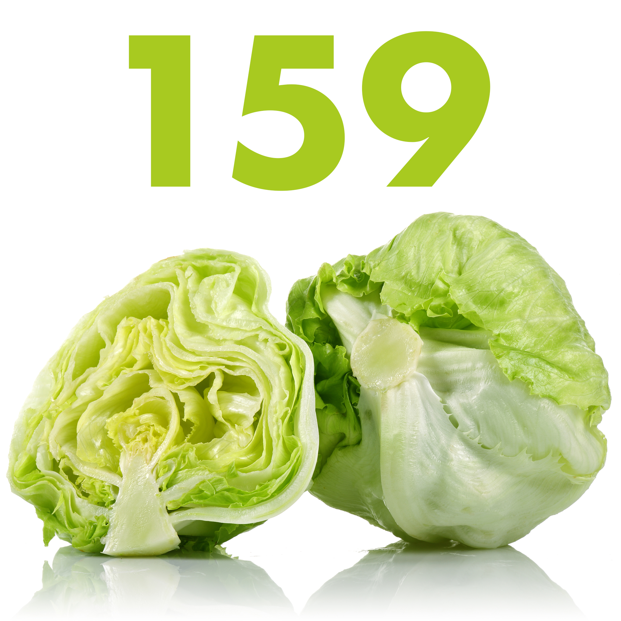 #159 - Iceberg Lettuce