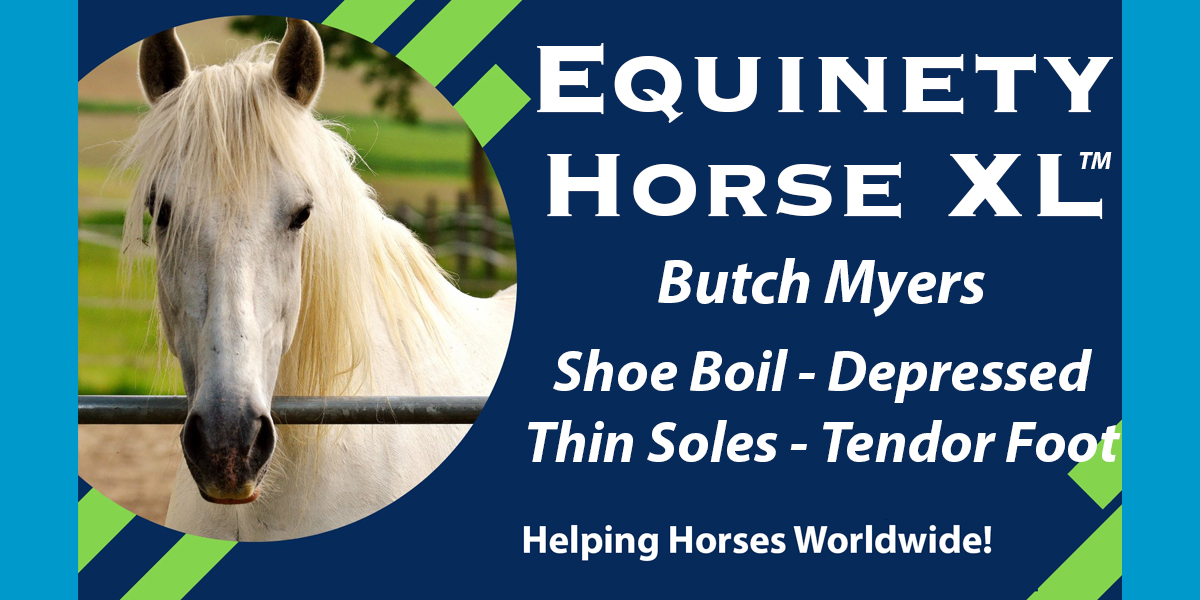 Team Equinety Podcast