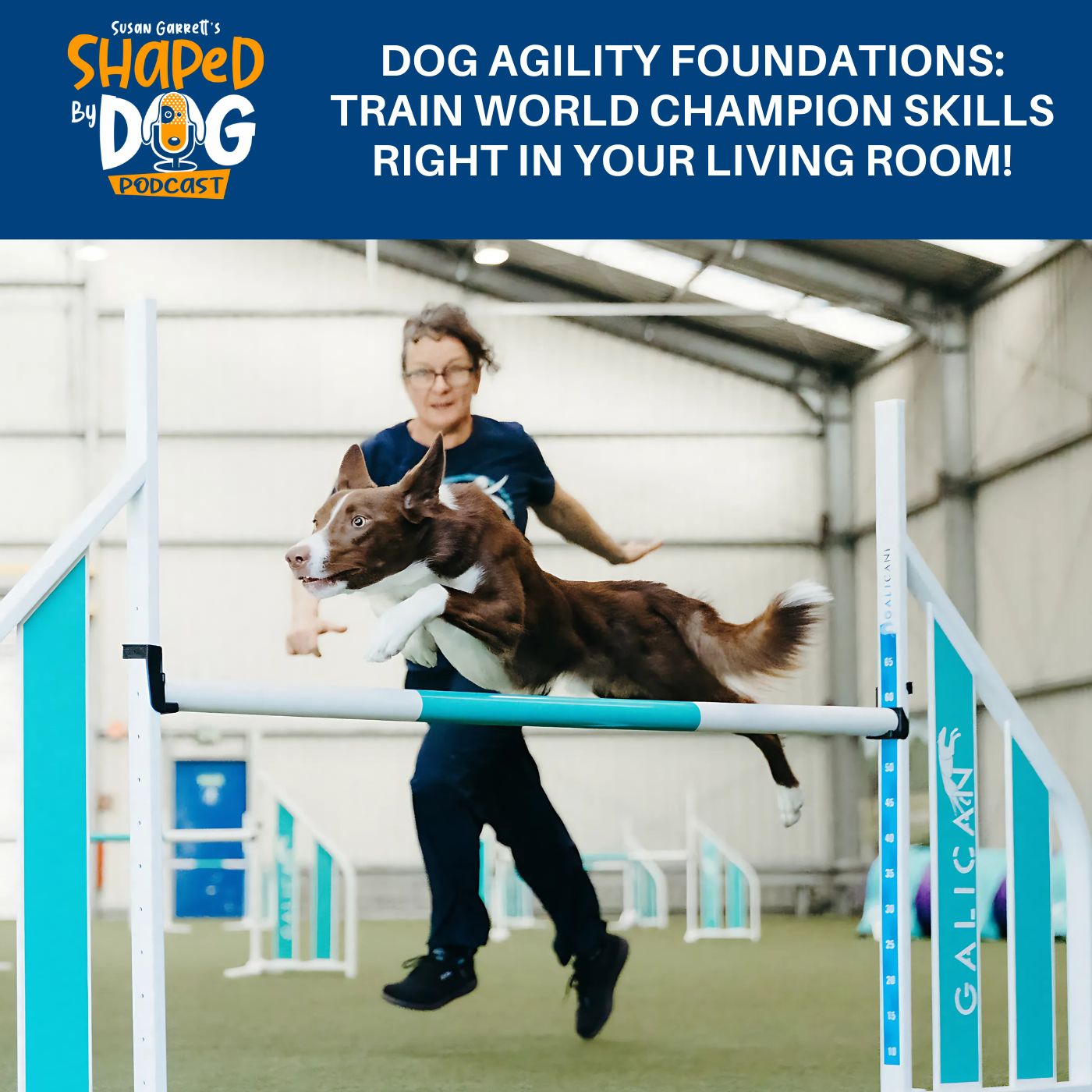 Dog Agility Foundations: Train World Champion Skills Right In Your Living Room! #311